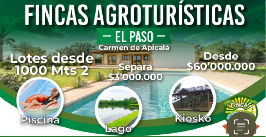 Fincas del Paso